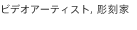 ビデオアーティスト,彫刻家