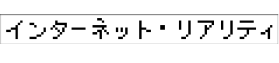 Internet Reality Study Group 'Internet Reality'