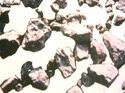 SONATA NO.1 / 1985