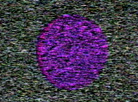 Noisefields / 1974