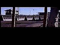 picture1