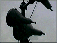 picture2