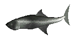 TUNE-A-FISH