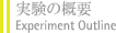 実験の概要
