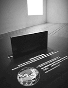 sensorium