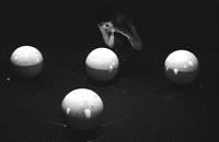 sensorium
